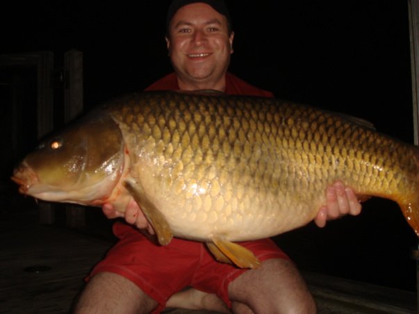 Photo shows results of casting to leaping carp
